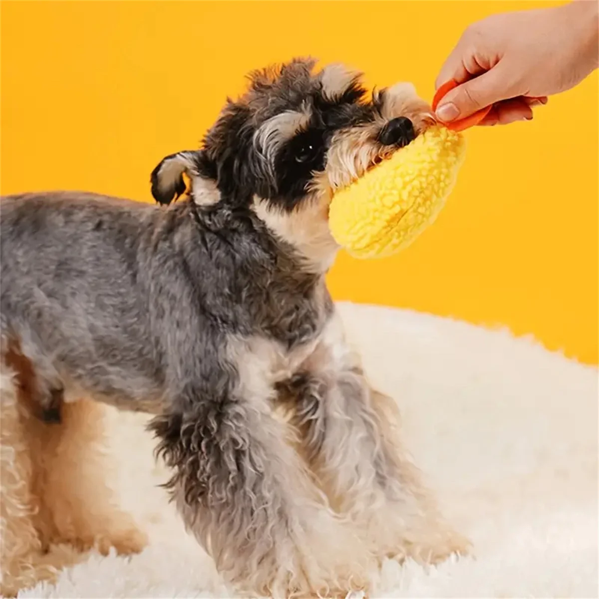 Gebratene Garnelen Tempura Hund Haustier Kauen Biss Quietschen Spielzeug niedlich gefüllt für Welpen spielen Terrier Hond Shiba Yorkshire Corgi – Detail 4
