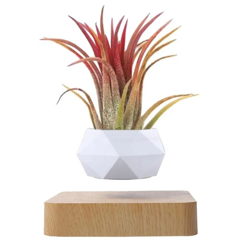 for Modern Chinese ABS Plastic Craftsmanship Home Decoration Magnetic Levitation Floating Bonsai Plants Potted Plants Pots