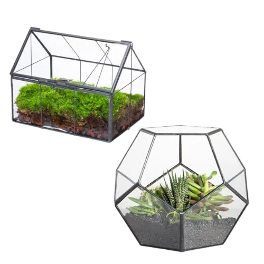 

Mini Glass Terrarium with Lid and Small Open Pentagon-Shaped Geometric Terrarium Planter for Small Cactus Succulents Plants