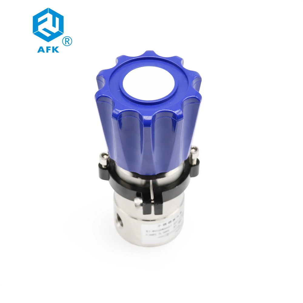 Self-Venting Nitrogen Gas Pressure Regulator High Pressure 3000psi Panel Mounting Stainless Steel 1/4