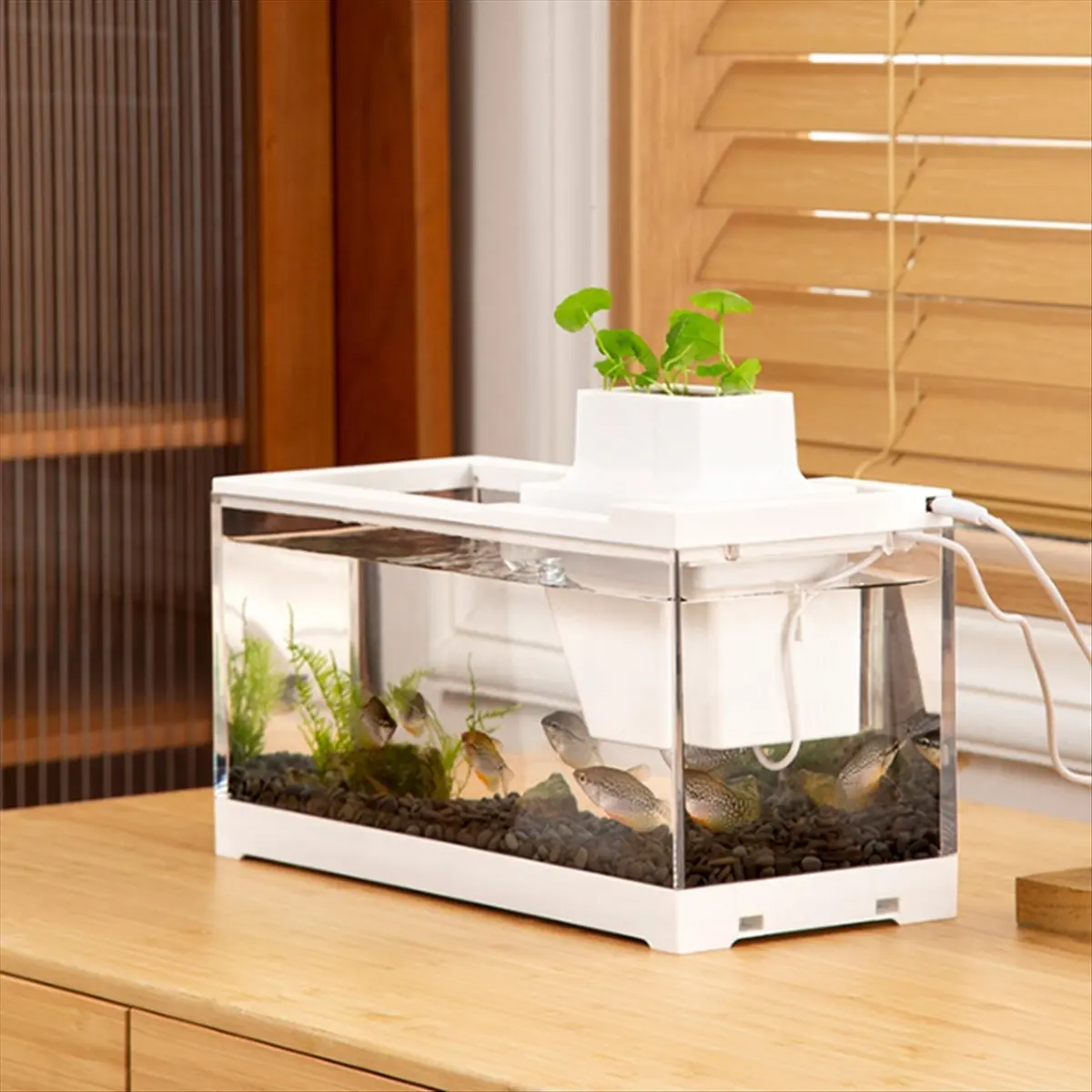 aquarium-de-bureau-lilili-avec-eclairage-led-filtre-silencieux-et-systeme-d'alimentation-pour-bureau-et-maison