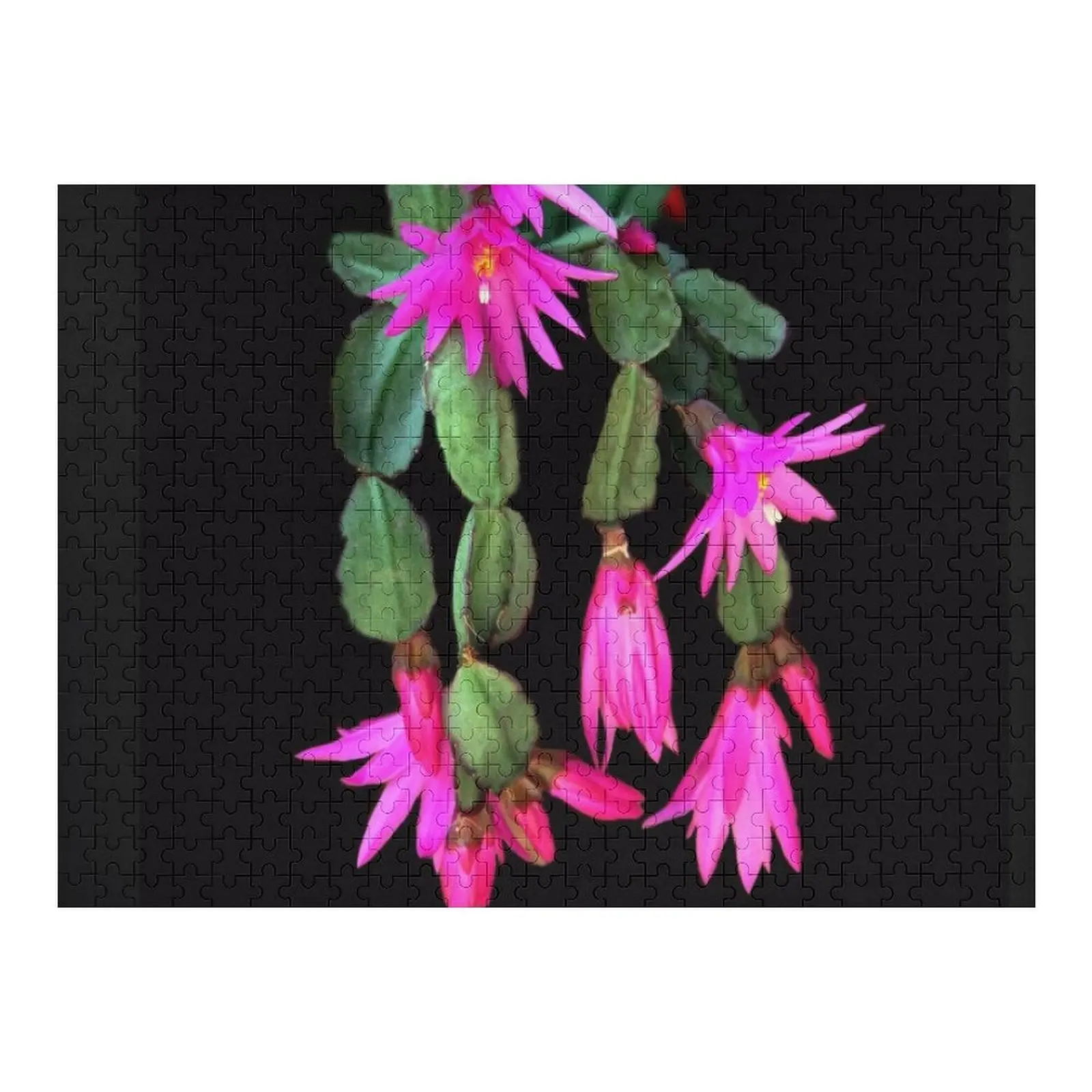 Zygocactus Truncatus a.k.a. Kerstcactus puzzel houten kisten met gepersonaliseerde foto baby houten puzzel