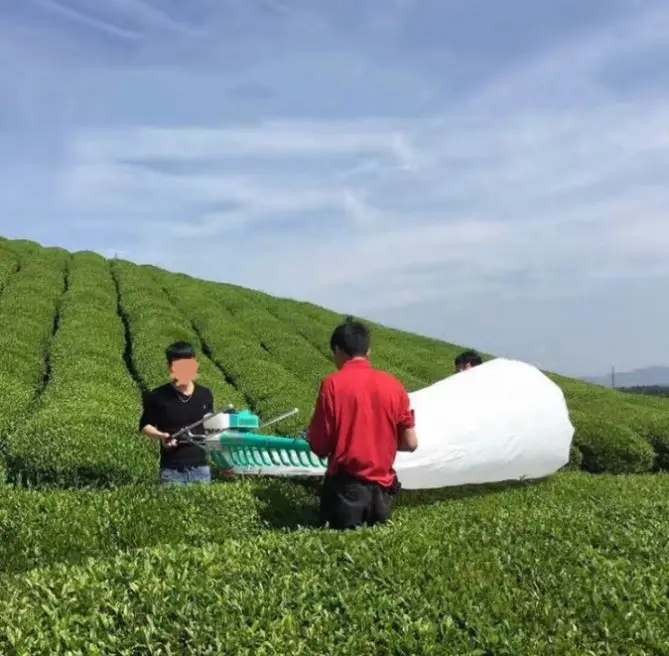 Máquina de colheita de folhas de chá elétrica Ferramentas agrícolas Mochila portátil profissional Escovado gasolina Colheitadeira de chá com gasolina