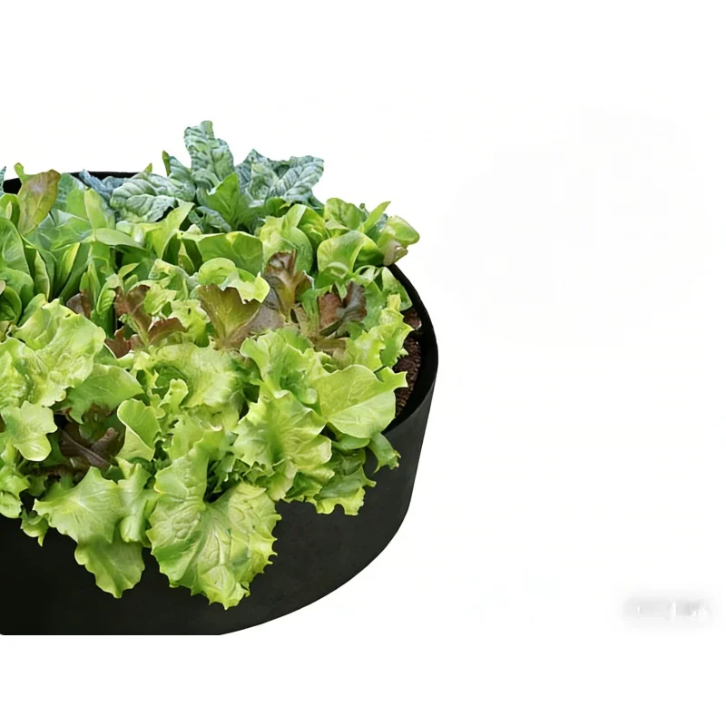 

Home 3D Vegetable Growing Tool Thickened Breathable Reusable Vegetable Planting Pot with Side Pockets Outdoor Balcony Plant Grow