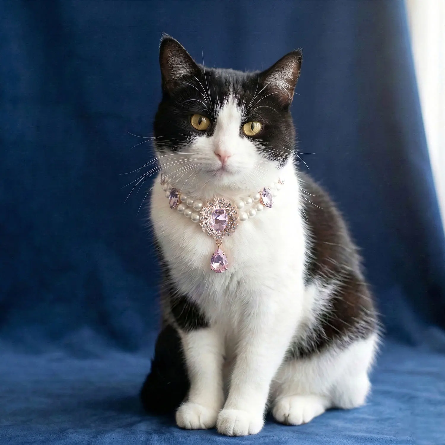 Hunde- und Katzen-Perlenkette Kristall-Edelstein-Anhänger Halsband Haustier-Schmuck Luxuriöses Katzenhalsband Modisches Accessoire Foto-Requisite – Detail 9