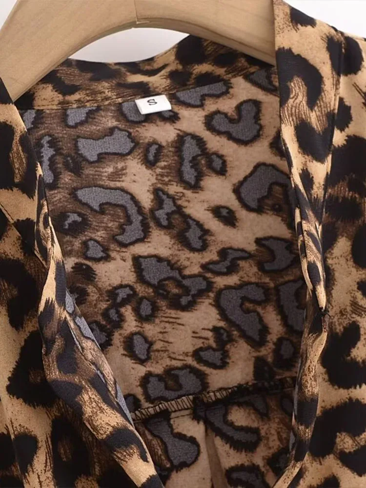 Long-sleeved V-neck leopard print shirt for women, autumn loose temperament chiffon sunscreen shirt, unique and exquisite top