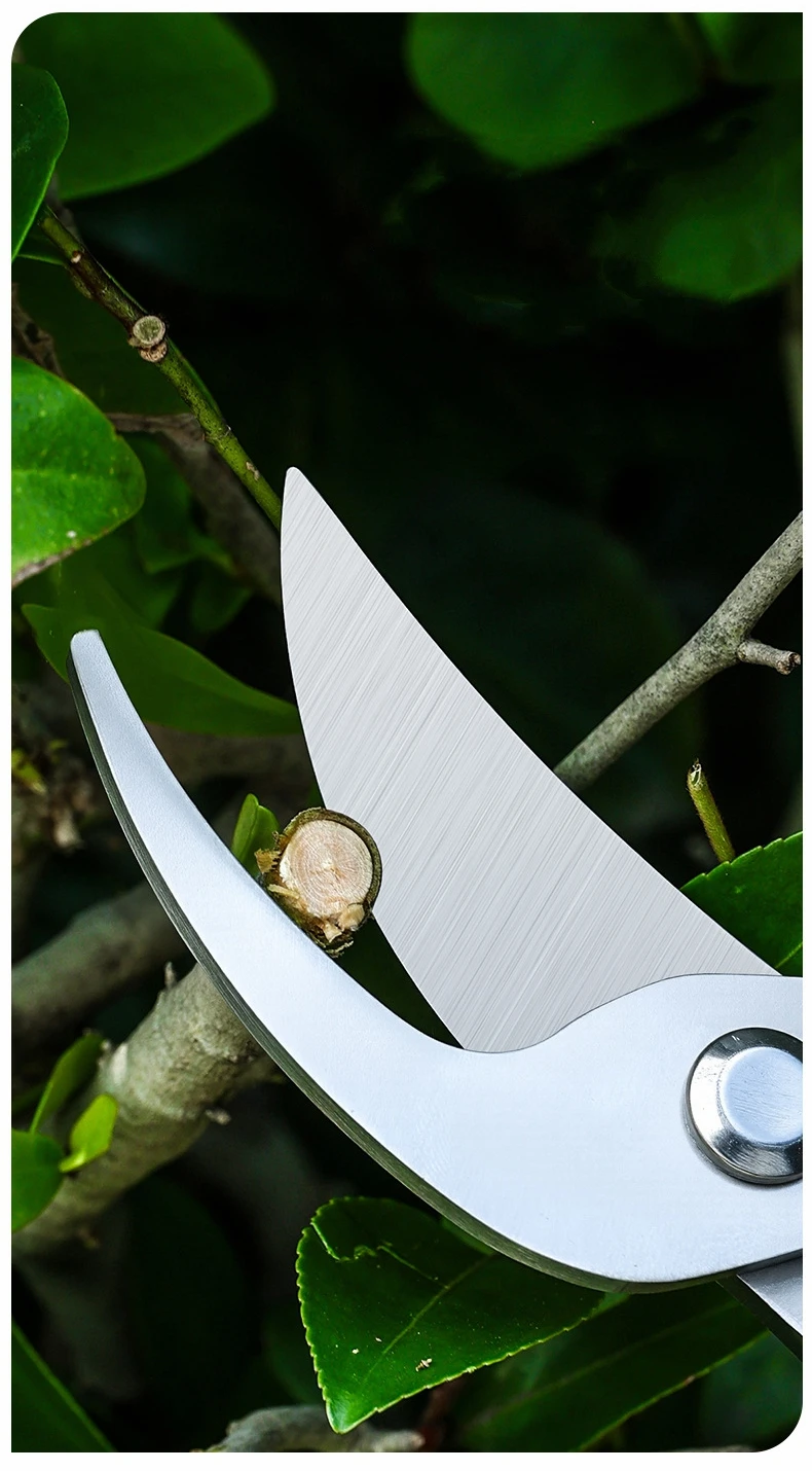 Thumbnail 3 - #60 Pruning Shears List of Top Picks
