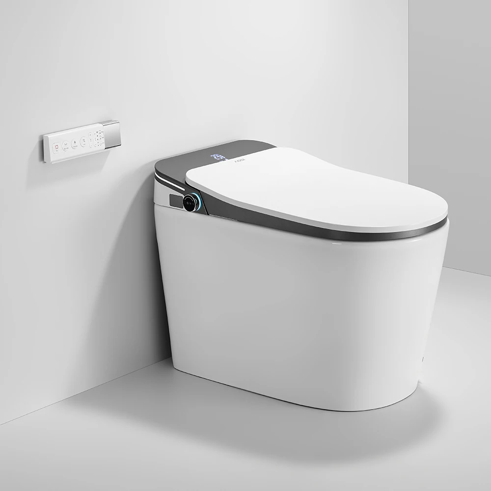 

Auto Sensor Flush Intelligent Floor Mounted Smart Toilet With Waterproof Ceramic Bowl, Night Light