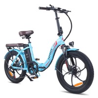 FAFREES F20 Pro Electric Bicycle 250W 36V 18Ah 20 \