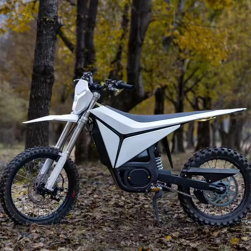 

2026 new SurgeV 35Kw 110km/h electric motorcycle 97V 45AH lithium battery 95kg off-road motorcycle