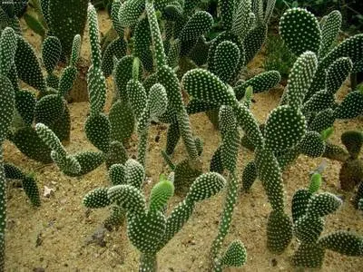 

Car Sun Visor For DS 7 Crossback 2017~2025 2020 2023 Front Windshield Sunshade Heat Insulation Summer Cooling Auto Accessories