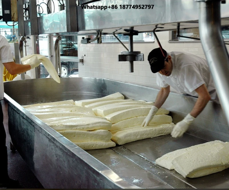 Automatic Mozzarella Small Batch Cheese Making Machine Cheese Production Line