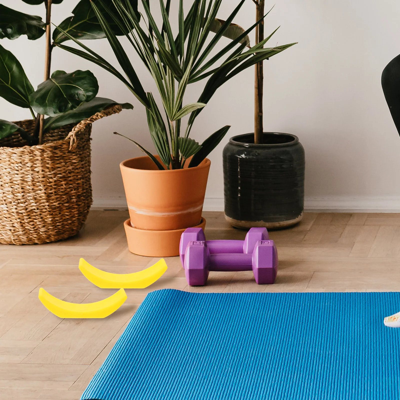 

4Pcs Dumbbell Holder Rack Lightweight Wear-Resistant PP Material Gym Storage Stand for Dumbbells Weight Support