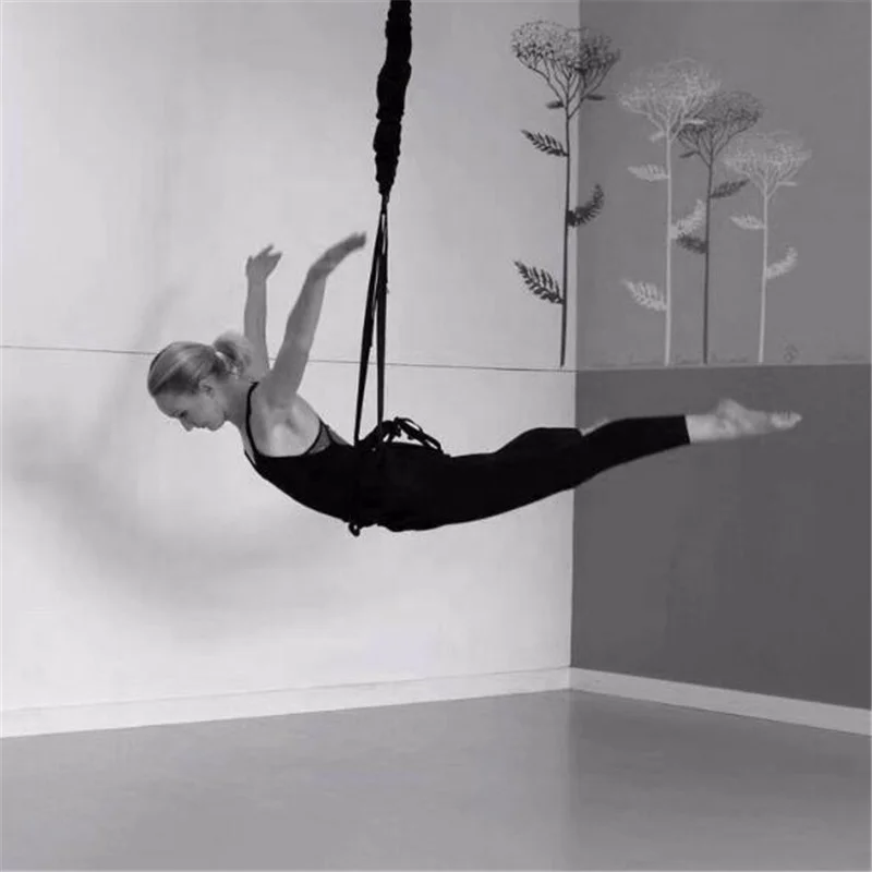 

Home Gym Fly Bungee Dance Cord Dancing with Bungee Cords Workout Bungee Fitness Kit