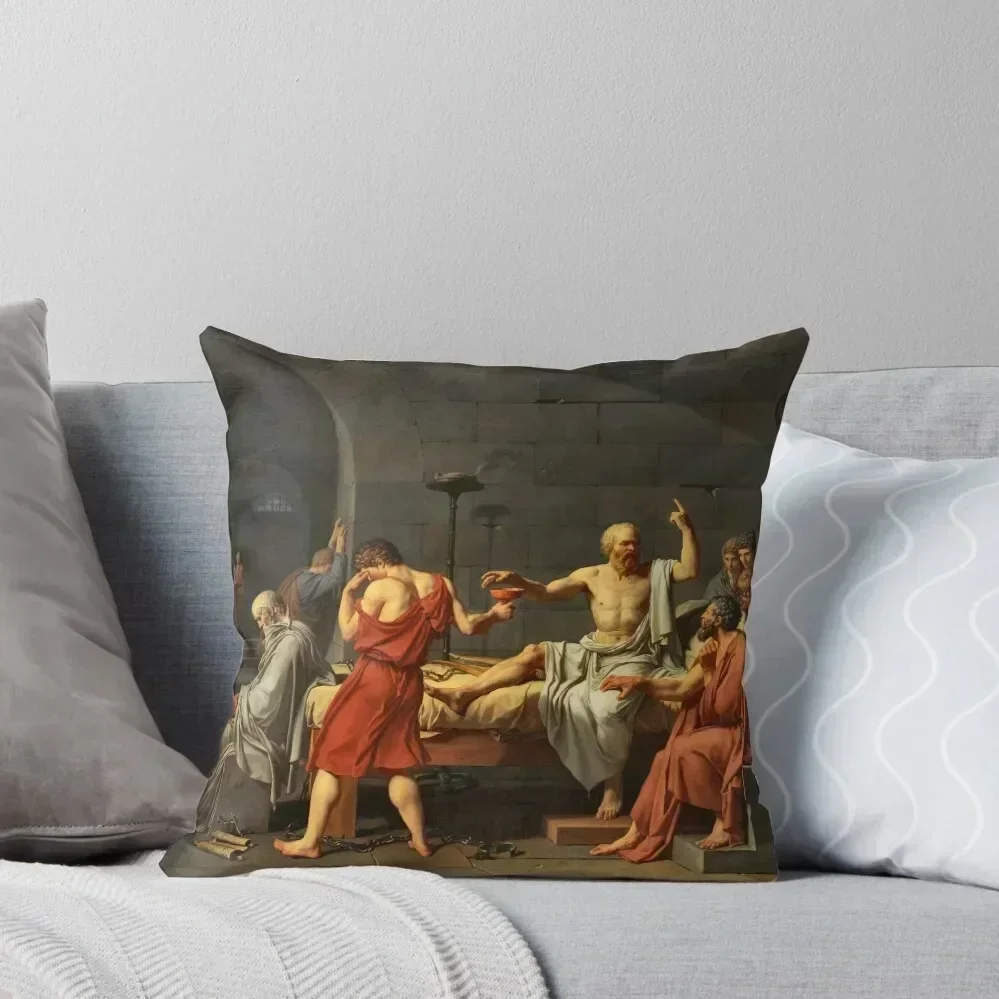 

Death of Socrates. Throw Pillow christmas pillow case luxury decor pillow