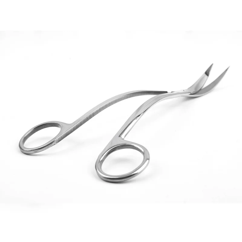

Stainless Steel Plant Scissors Aquatic Wave Scissors Cleaning Tool