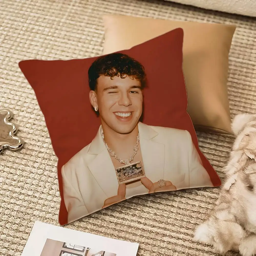 غطاء وسادة مغني الراب Q-Quevedo غطاء وسادة مضاد للغبار وسحاب غير مرئي أريكة حريرية من القطيفة