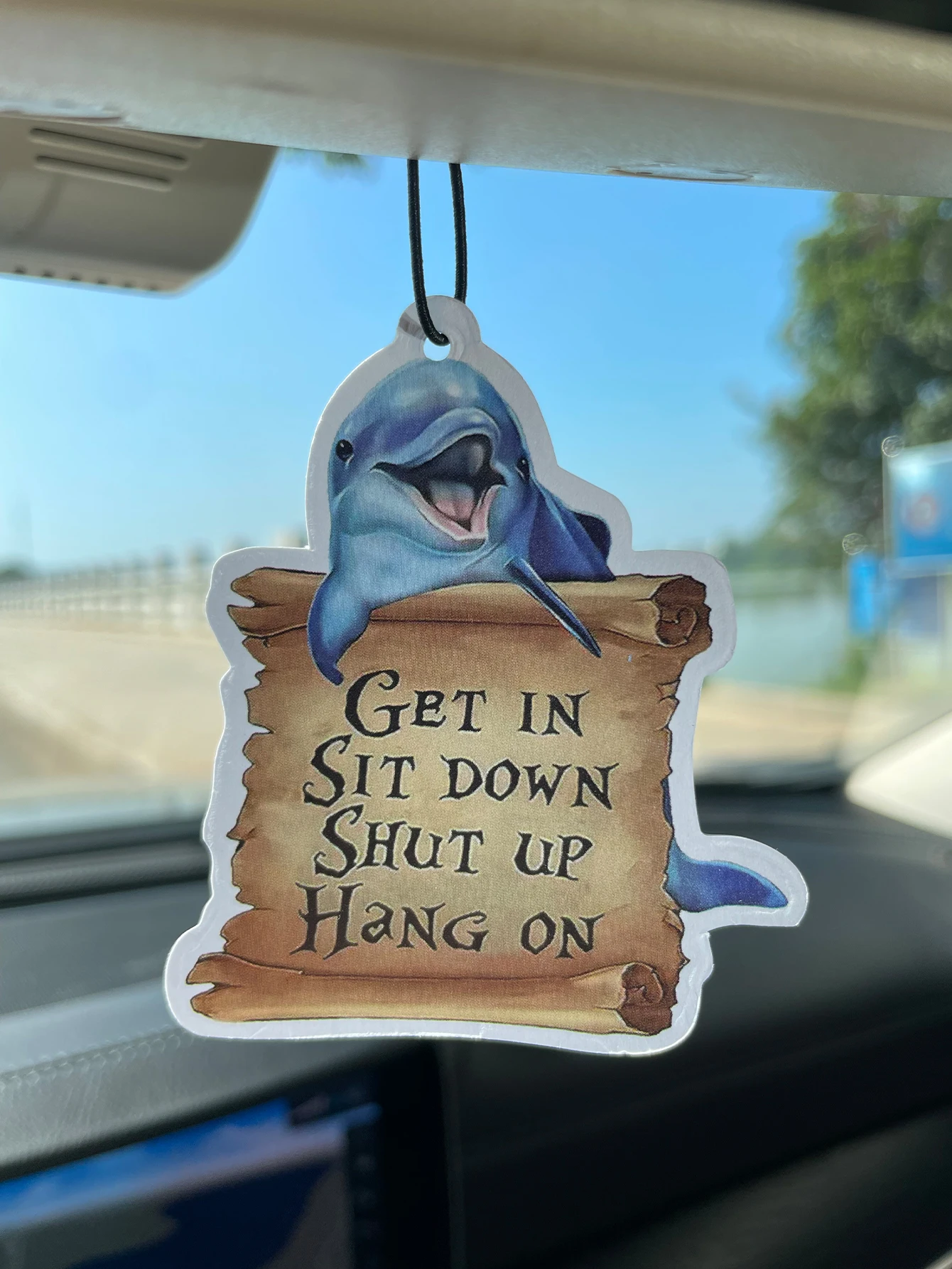 Funny Dolphin Scroll Quote Car Air Freshener, Natural Plant Extract Scent, Alcohol Free, Long Lasting 60-90 Days, Heat Resistant