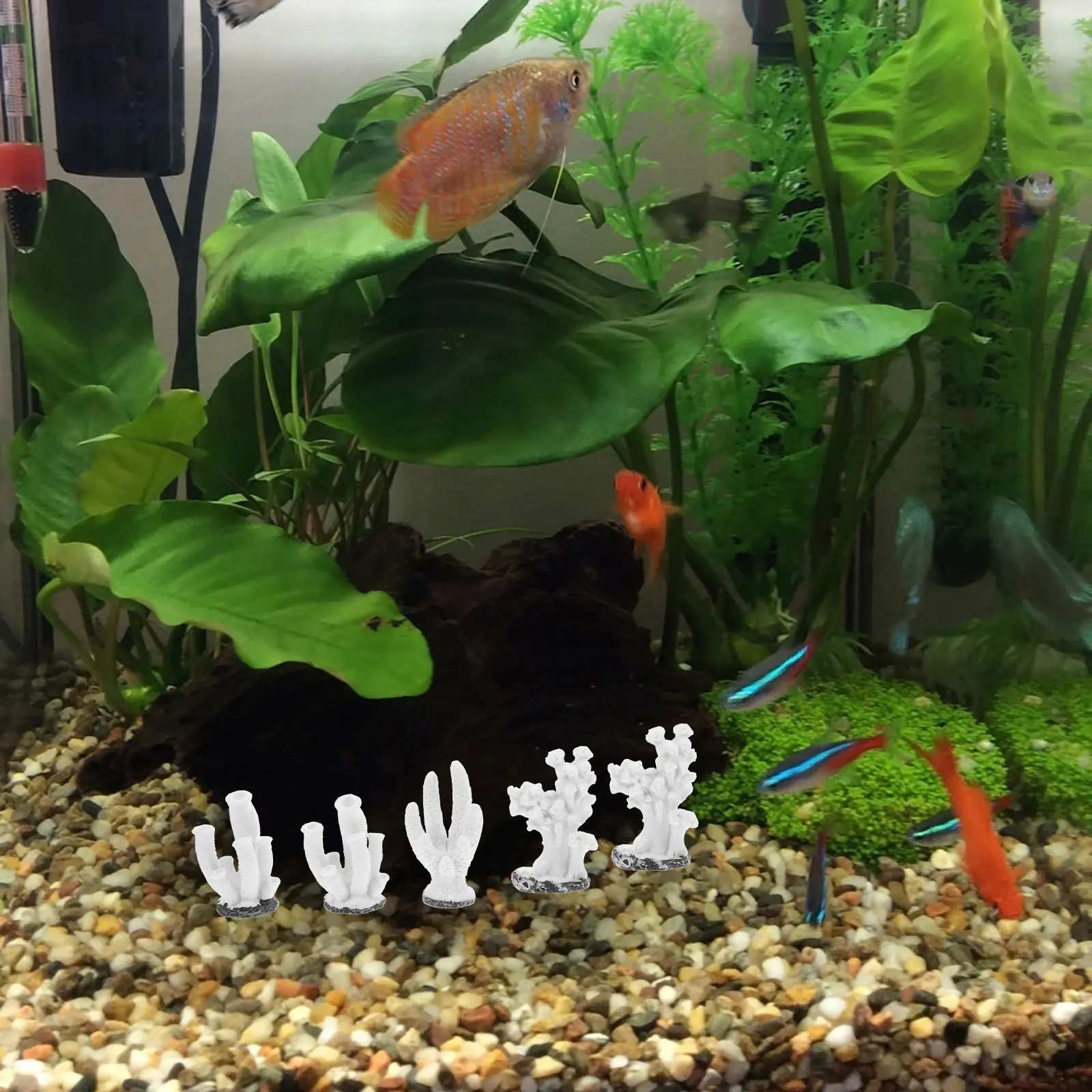 

5Pcs Coral Plant Decor Resin Fish Tank Ornaments Add Natural Style Safe for Pets Easy to Clean Aquarium Coral Aquariums Decor