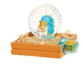 Hamster 1
