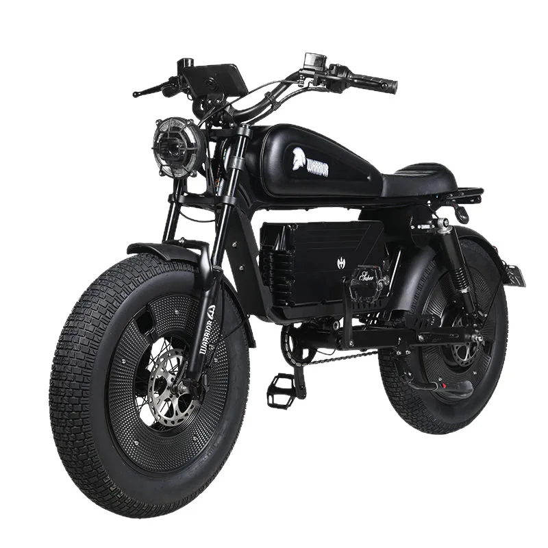 

48V Electric Bike for Adults 350W Motor 40-60km Range Street Legal Moped Style Ebike Commuter Steel Frame Electric Bicycle