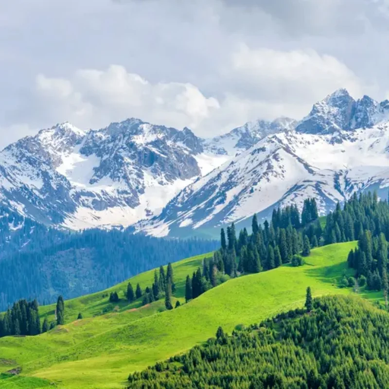 

Бесщеточный двигатель Cosmicrc 4108 (380KV/600KV) - высокий крутящий момент, низкий уровень шума, металлическая конструкция