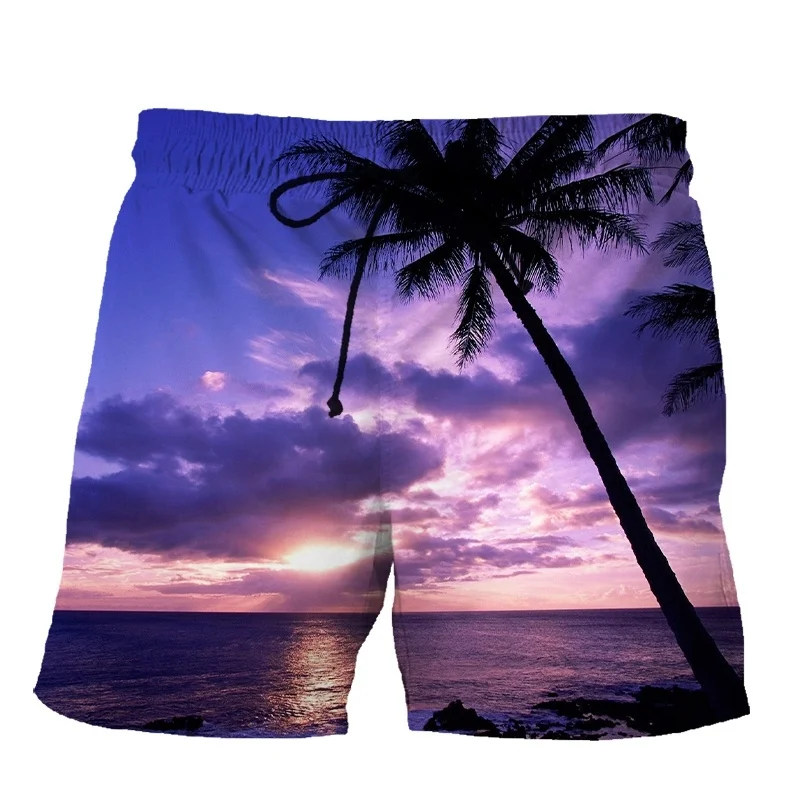 Palme tropicali mare tramonto pantaloncini da spiaggia stampa 3d vacanza Quick Dry Surf Board Shorts uomo bambini Streetwear pantaloni corti estivi