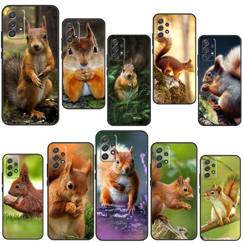 Squirrel Case For S…