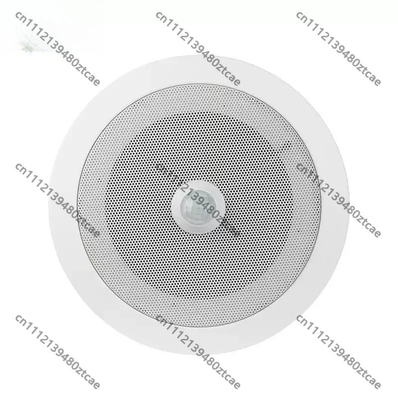 PIR Human Motion Sensor Voice Prompt Player, Ceiling Mount Speaker, Infrared Trigger Broadcast Device for Elevator Advertising