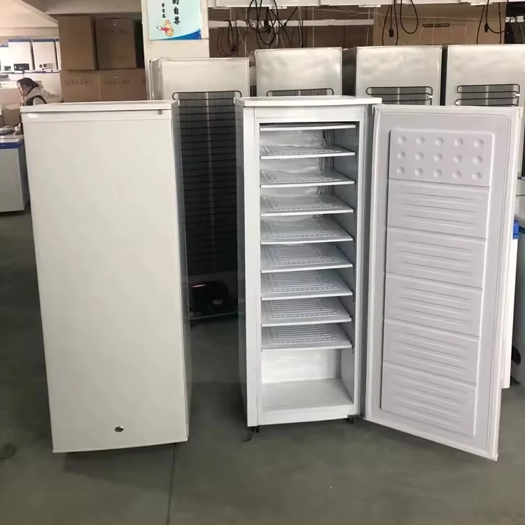 11 strati 7 strati 6 strati 198l DC 24v Macchina per il ghiaccio commerciale Macchina per il ghiaccio solare