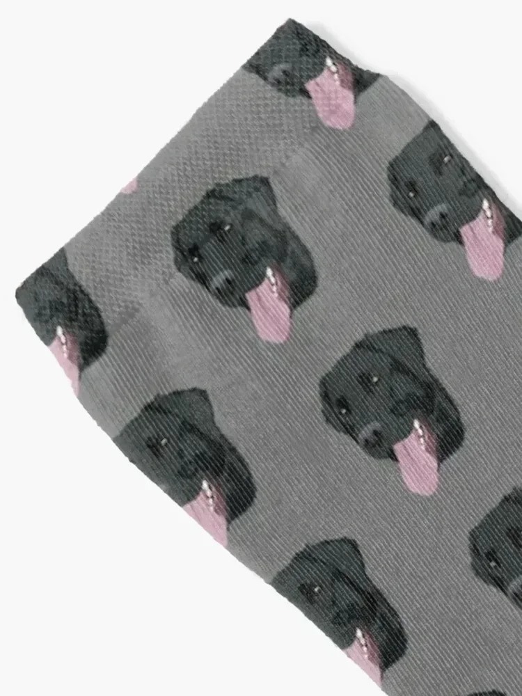 Black Lab Socks soccer anti-slip Thermal man winter gift anti slip football Mens Socks Women's