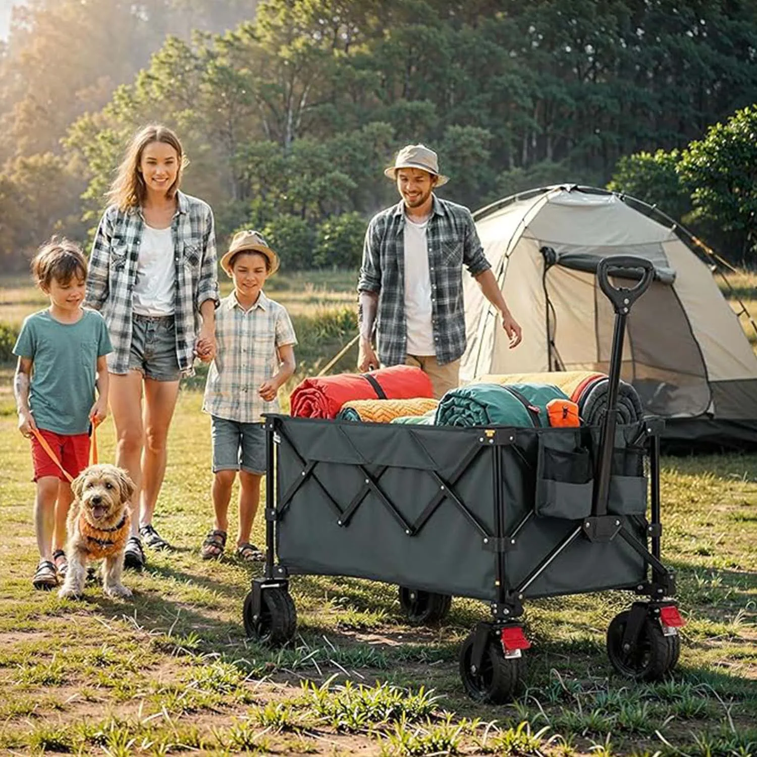 Picture 5: Light Functional Robust Folding Wagon Cart