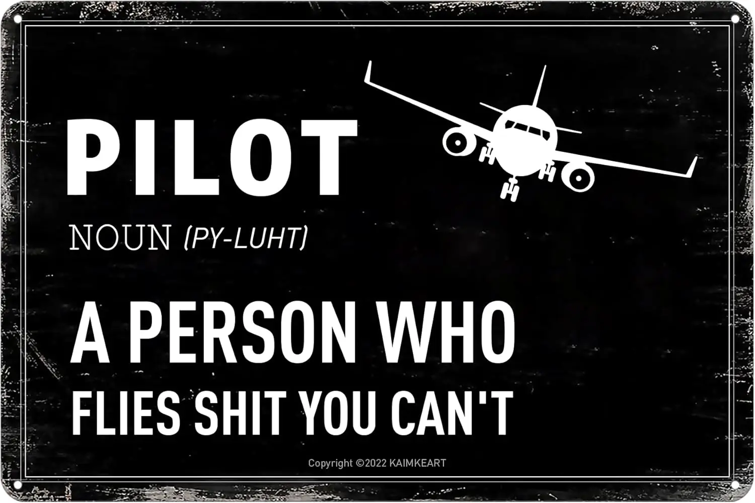 Y1,Pilot Definition Vintage Airplane Metal Sign - Funny Wall Decor Humorous Aviation Gift