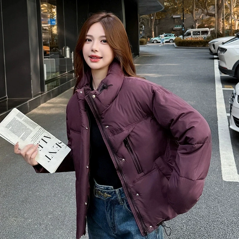 Mantel Katun Kasual Longgar Kerah Berdiri Pendek Wanita Baru Musim Dingin 2025 Parka