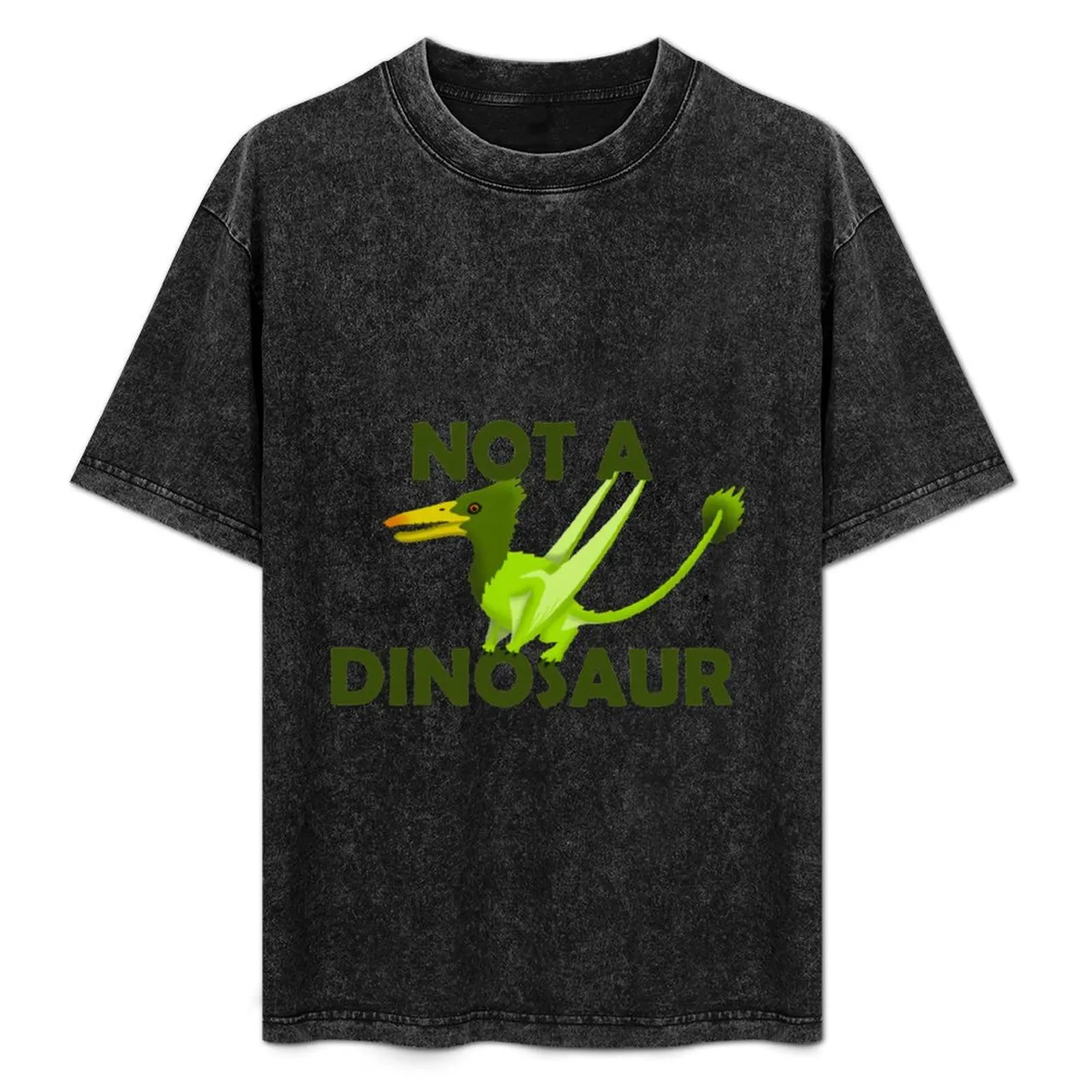 

Rhamphorhynchus- Not a Dinosaur T-Shirt Relaxed Fit Casual Short Sleeve Top
