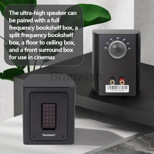 5ohm brand new fever independent tape super tweeter external speaker passive speaker 30w extension 8 Main Sales Passive Sound Box - №3