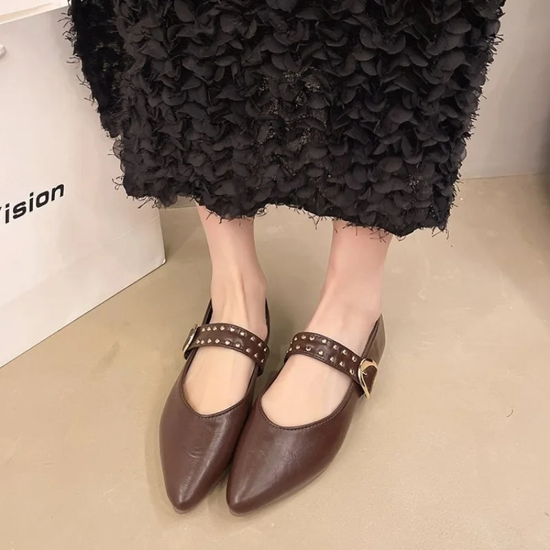2025 New Pointed Toe Fashion Women Shoes Spring Autumn Elegant Party Daily Low Heels Pump Footwear Women Minimalist Flats Shoes