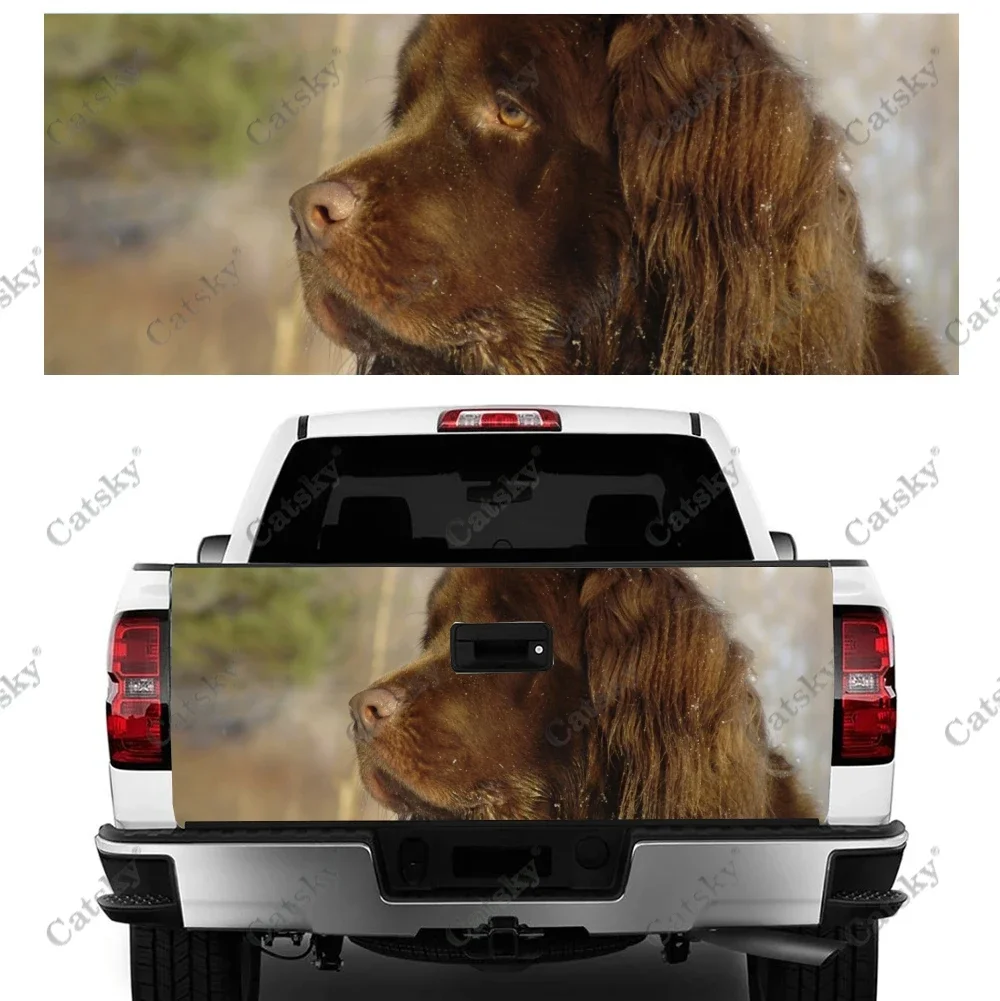 

Newfoundland dog Car sticker rear car exterior modification vinyl self-adhesive painting for cars truck stickers
