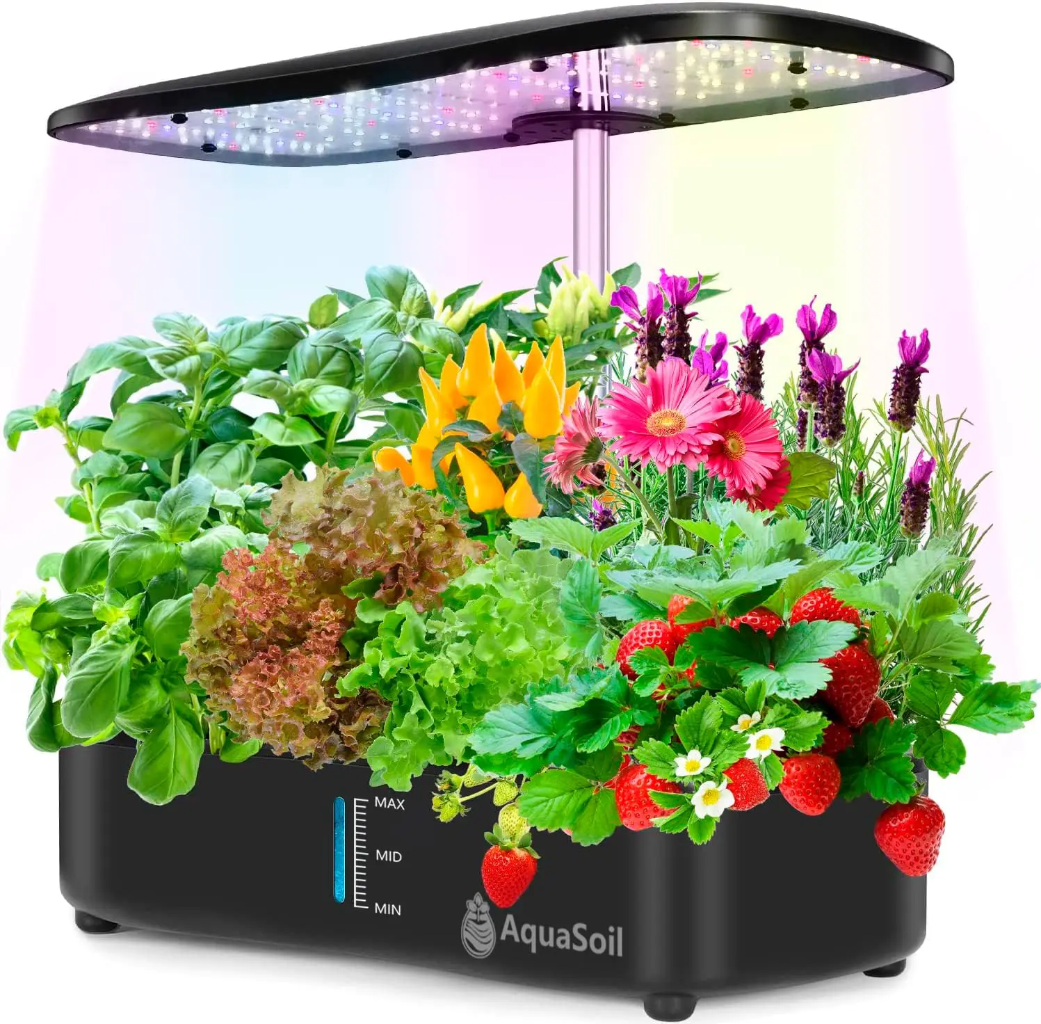 Hydroponic Growing System 12 Pods Herbs Garden Kit Indoor  LED Grow Lights Hydro Water Pump, Auto Timer Height Adjustable to 20\