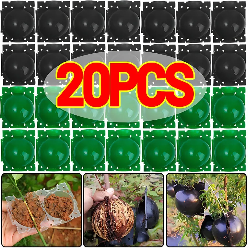 

5/20PCS Plant Rooting Balls Plastic High Pressure Graft Breeding Case Nursery Box Propagation Plant Root Pots Garden Accessories