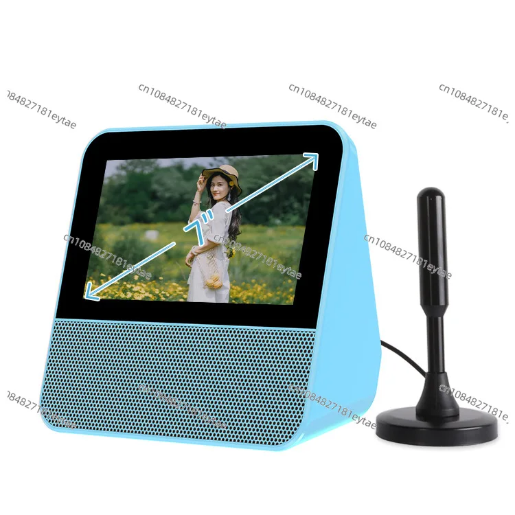 Home Portable DAB Digital TV Radio, Camping Mini TV