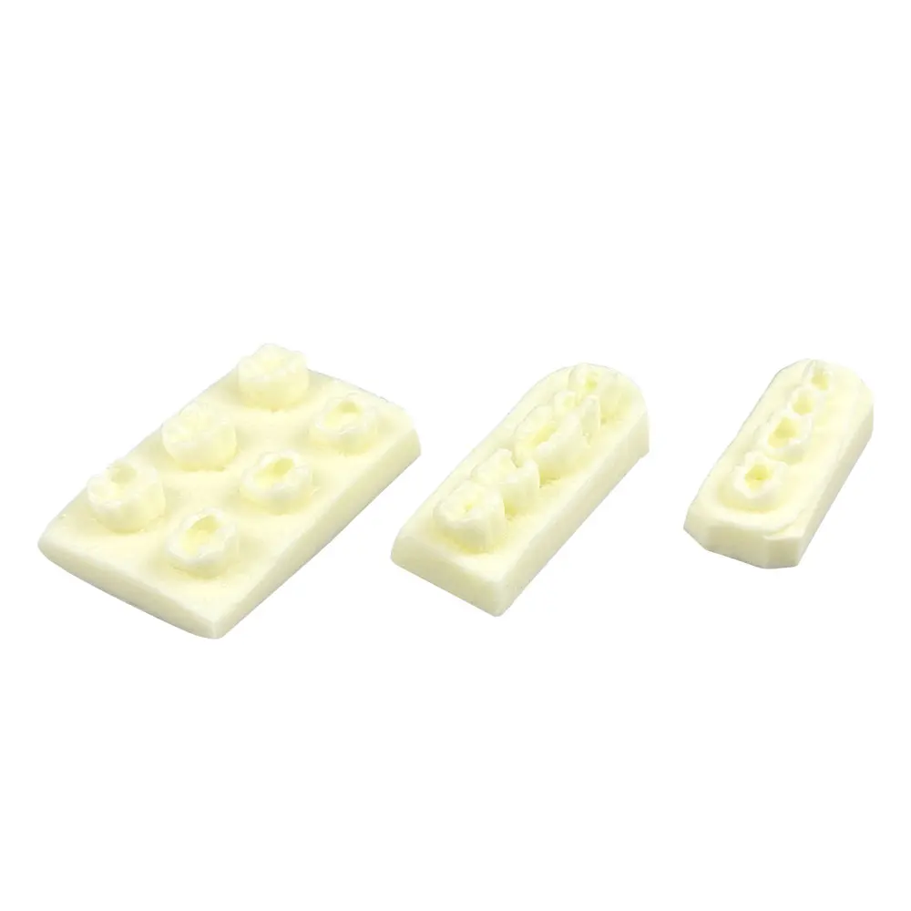 Modelo de treinamento de implante, modelo de enchimento dental, modelo de dentes de implante para prática de odontologia, ensino, estudo, exame, educação