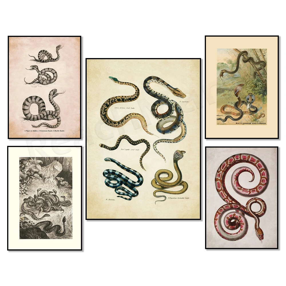 Monstruo Lernaean Hydra, criatura mitológica greco-romana, serpiente, cascabel y cobra, póster de nido de víbora, impresión de reptil salvaje