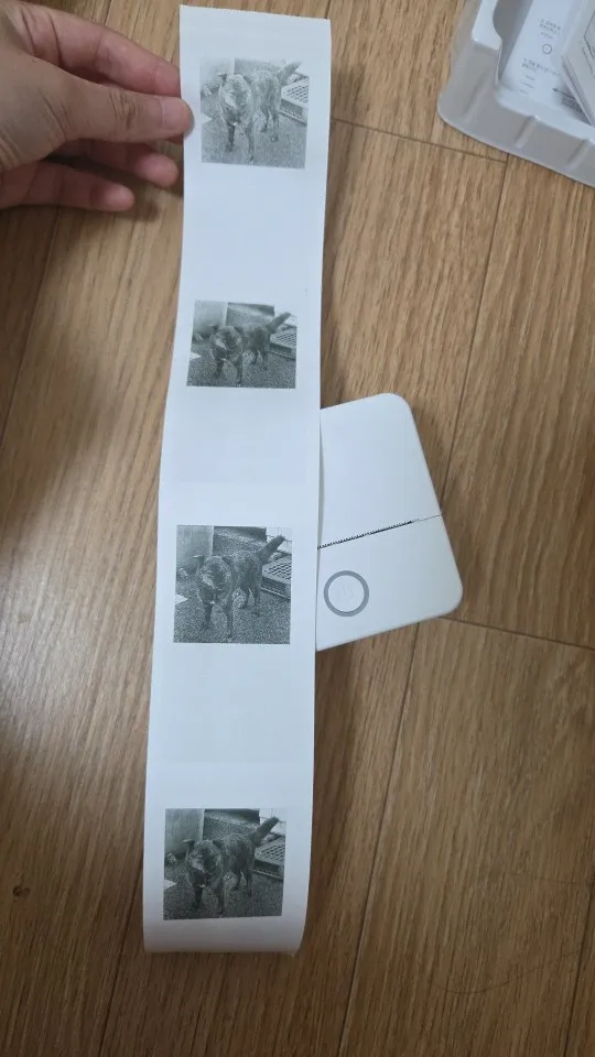 구매후기