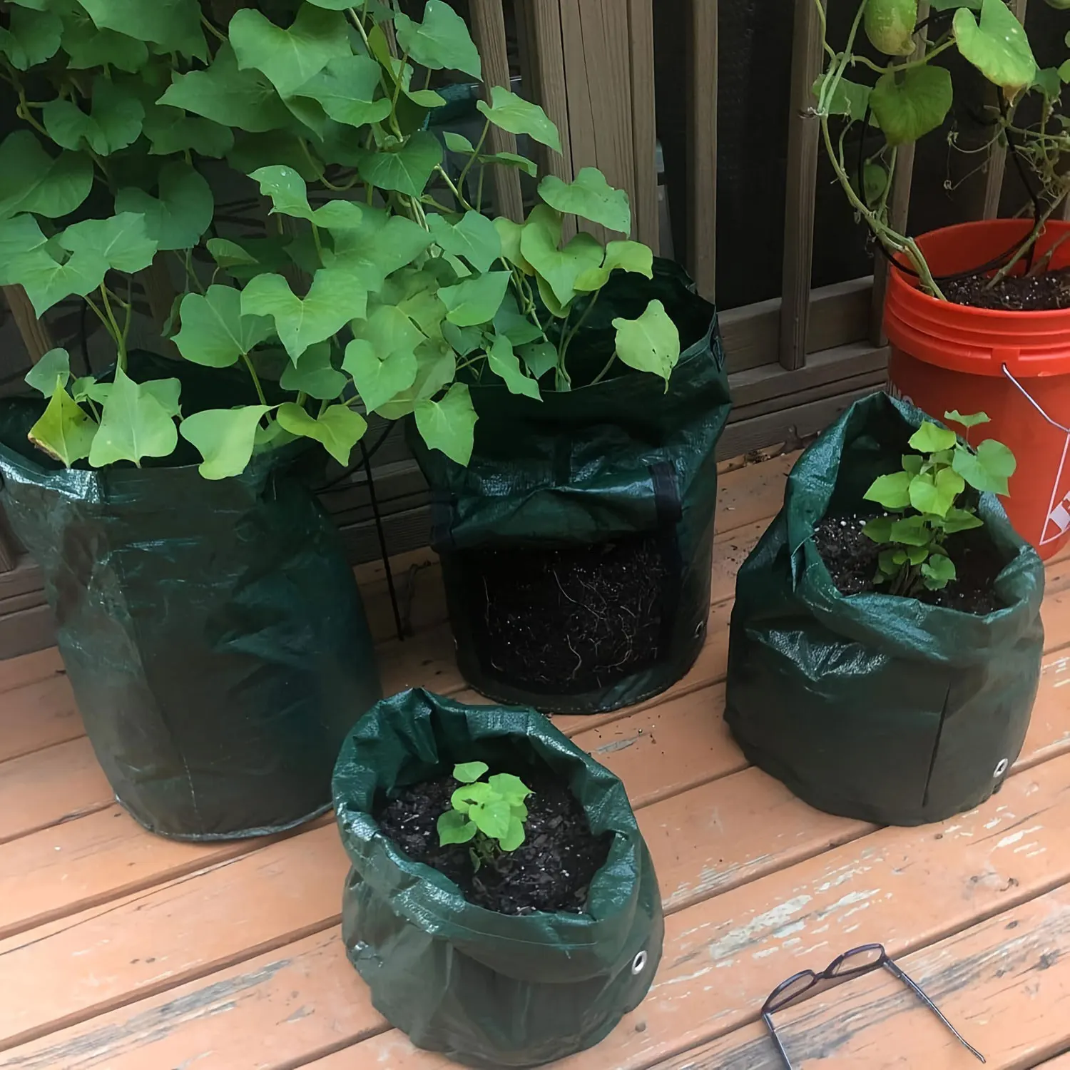 SPONDWILD 5 Stück 7 Gallonen-Wachstumsbeutel PE-Gemüse-Wachstumsbeutel DIY Stoff-Wachstumstopf-Wachstumsbeutel Gemüsepflanzentasche Outdoor-Gartentöpfe – Detail 8