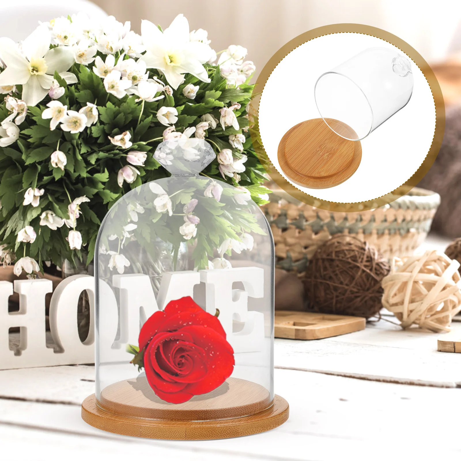 

Glass Display Dome Transparent Small Protective Display Case Storage Holder for Crafts Art Desktop Decoration Glass Dome