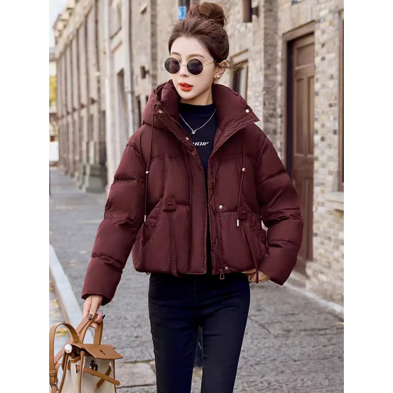 Puffy Padded Coat for Women, 90% White Duck Down, Hooded Jacket, Thick Warm Parkas, Short, Lightweight, Fashion, Winter, 2024