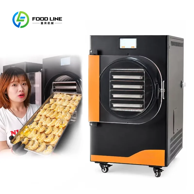 Custom made Mini Small Freeze Drying Machine Large Food Vegetable Fruit Home  Household  Freeze Dryer Unit