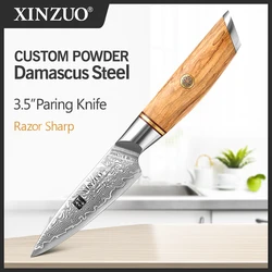 XINZUO 3.5'' in Paring Knife 73-layer Damascus Steel Damascus Steel Utility Knife VG10 Vegetable Fruit Knife with Premium Handle