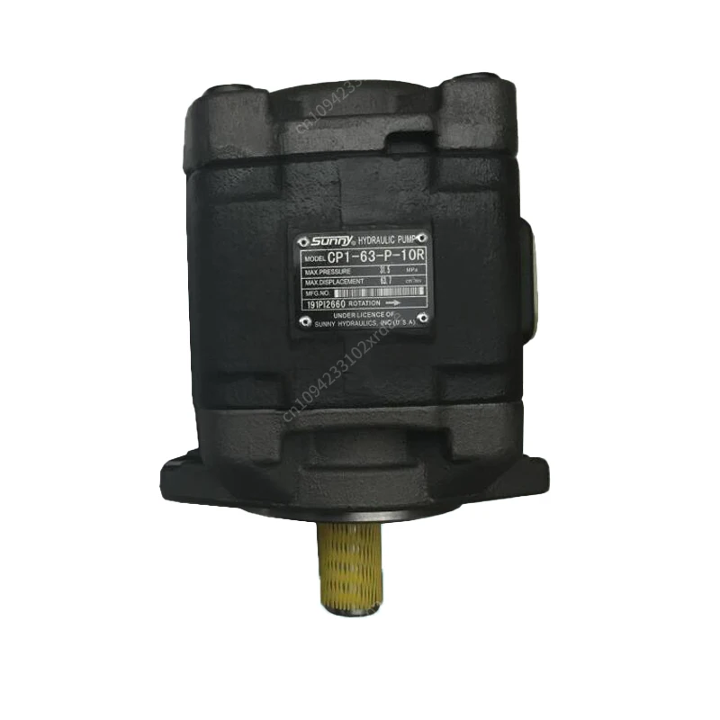 Sunny CPO CP1 CP2 Series Hydraulic Moulding Machine Gear Pump CP2-125-P-10R  CP2-160-P-10R CP0-13-P-10R  CP0-16-P-10R